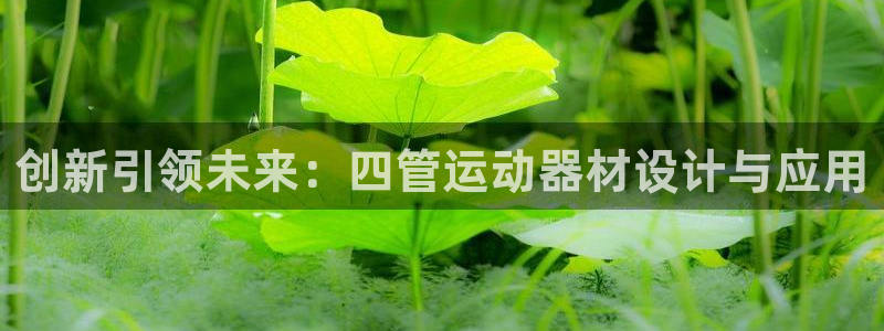 征途国际娱乐首页官网下载：创新引领未来：四管运动器材