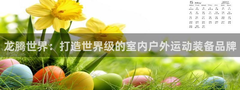征途国际平台假的吗是真的吗吗：龙腾世界：打造世界级的