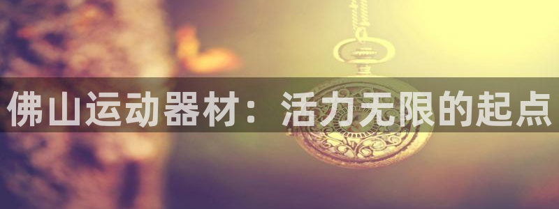征途国际平台注册：佛山运动器材：活力无限的起点