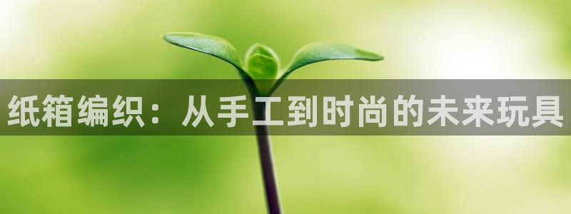 征途国际娱乐：纸箱编织：从手工到时尚的未来玩具