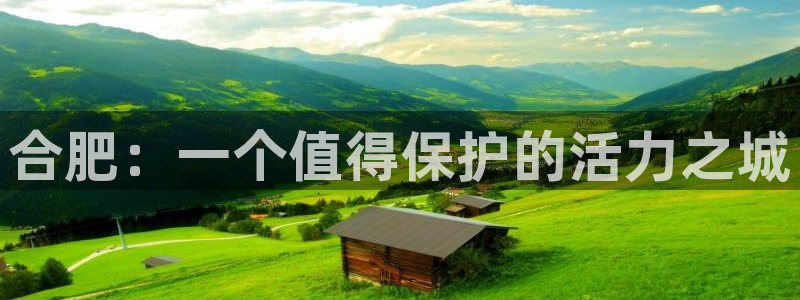 征途国际招商电话地址查询：合肥：一个值得保护的活力之