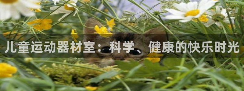 征途国际注册：儿童运动器材室：科学、健康的快乐时光