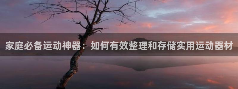 征途国际娱乐首页官网下载：家庭必备运动神器：如何有效