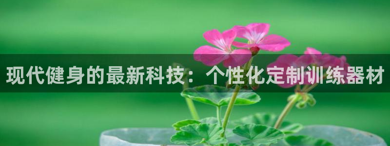 征途国际是干嘛的公司