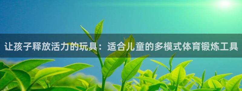 征途国际娱乐40996：让孩子释放活力的玩具：适合儿童的多模