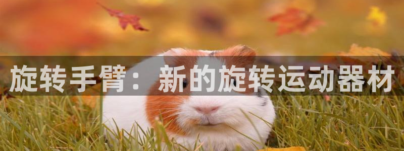 征途国际招商电话号码查询是多少：旋转手臂：新的旋转运动器材