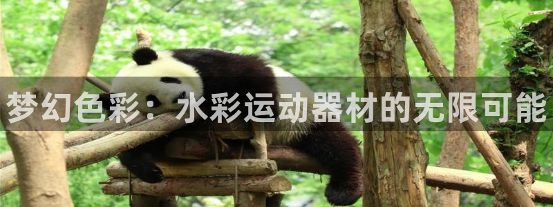 征途国际代理：梦幻色彩：水彩运动器材的无限可能