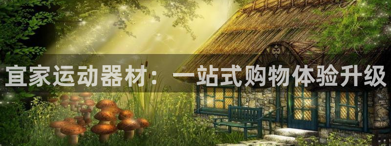 征途国际招商电话：宜家运动器材：一站式购物体验升级